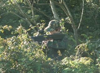  Bien cubierto de bosques